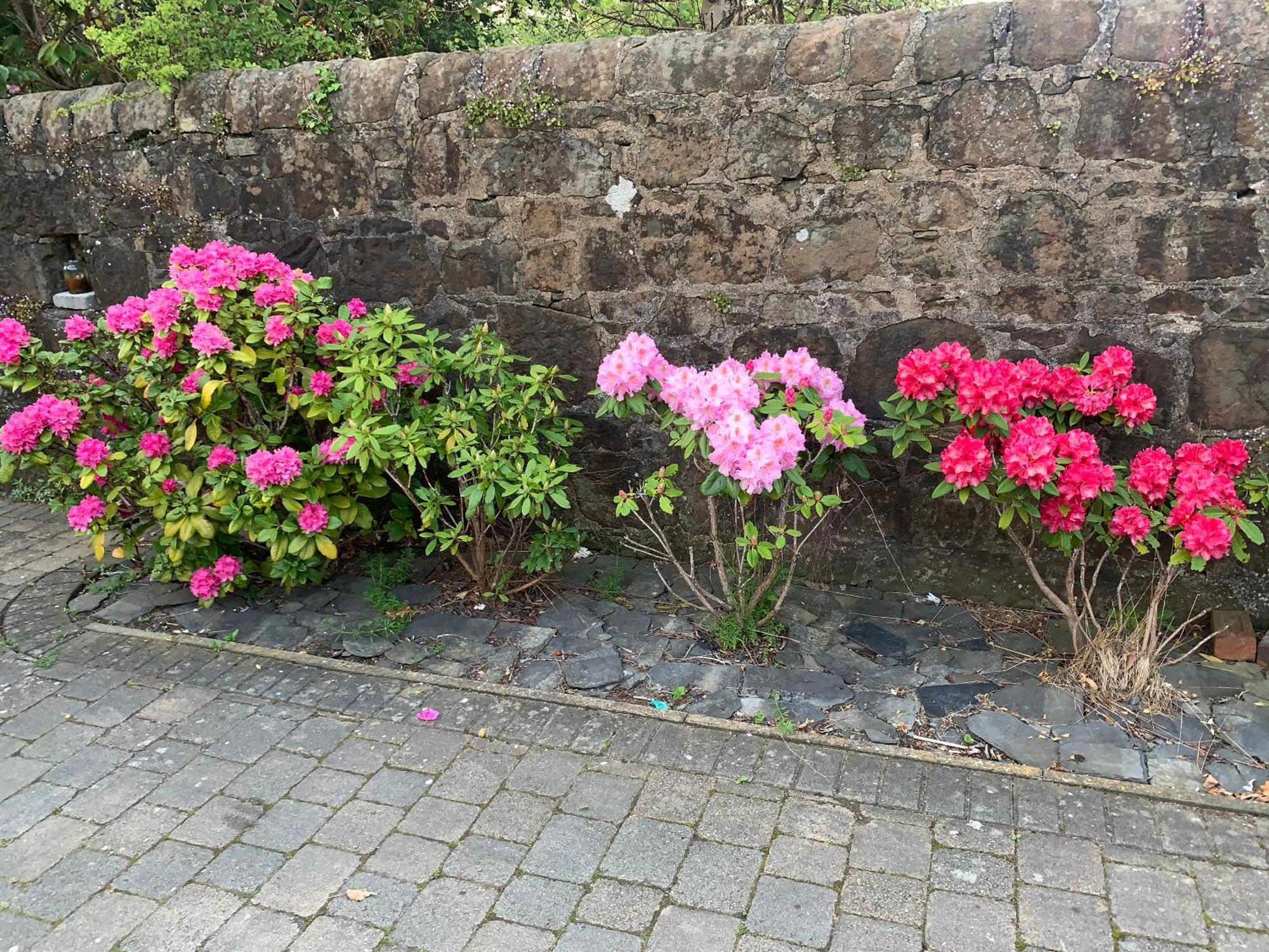 ホテル Braidmead House アーヴァイン エクステリア 写真